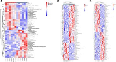 The cardiovascular toxicity of polystyrene microplastics in rats: based on untargeted metabolomics analysis